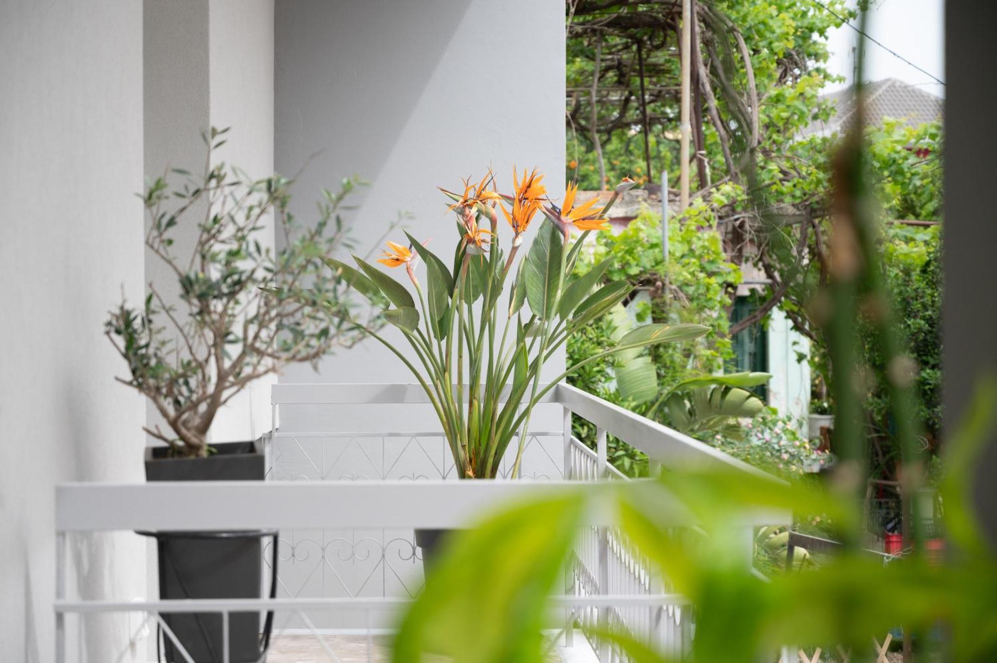 Louisa Luxury Apartments Preveza Exterior photo